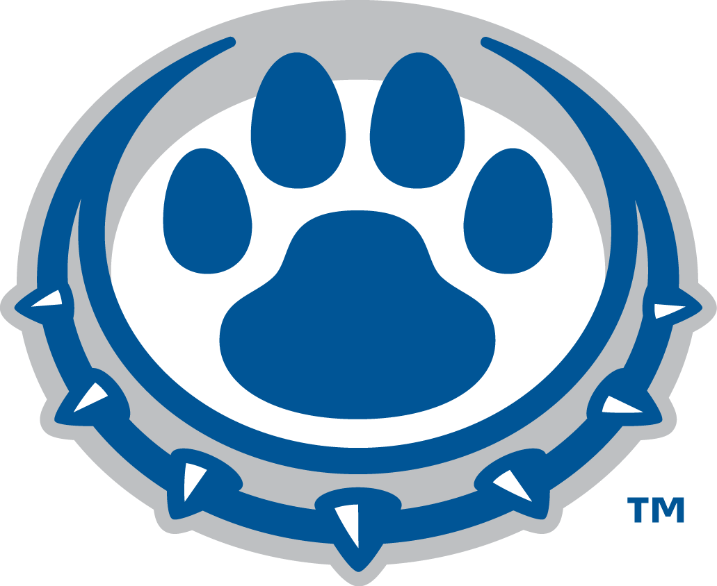 Drake Bulldogs 2015-Pres Alternate Logo t shirts iron on transfers